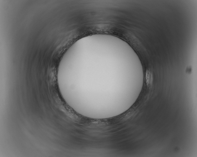 X0000112511107200909071301