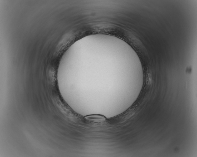 X0000112511108200909071302