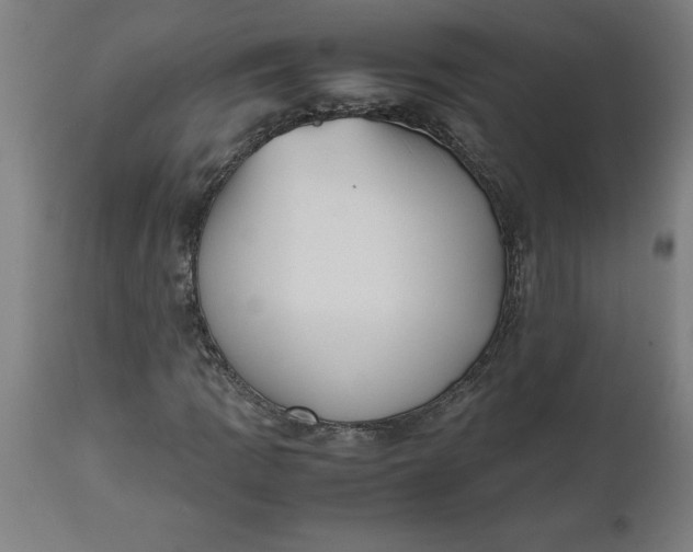 X0000112511109200909071302