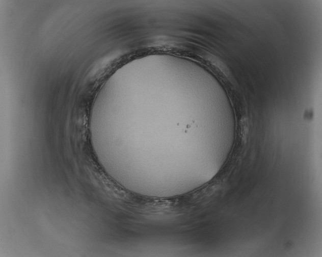 X0000112511111200909071302