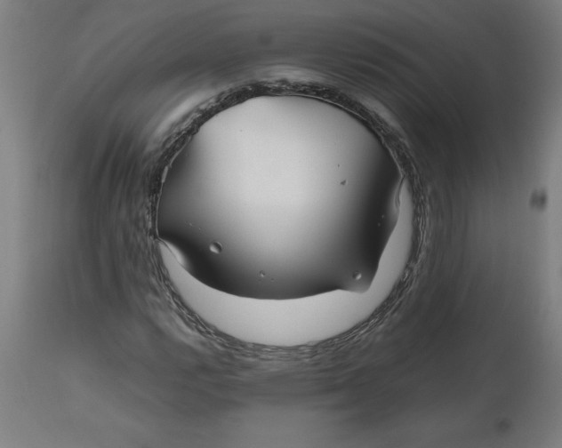 X0000112511112200909071302