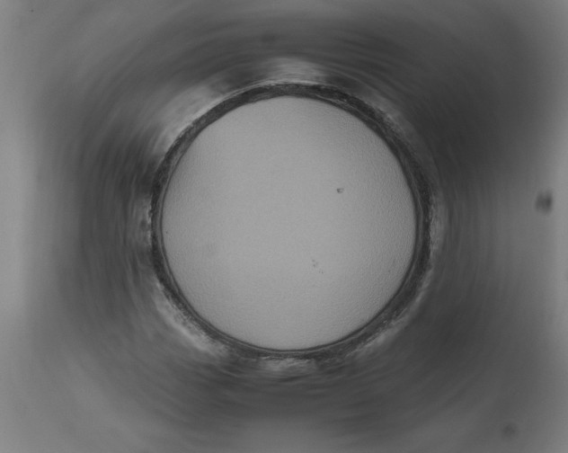 X0000112511113200909071302