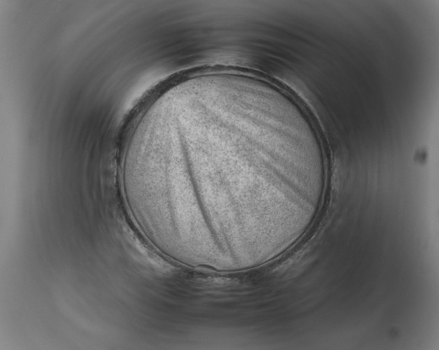 X0000112511115200909071302