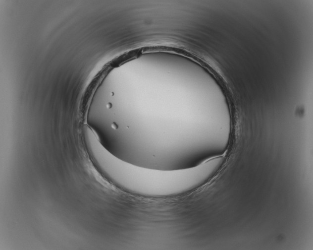 X0000112511116200909071302