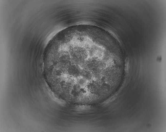 X0000112511117200909071302