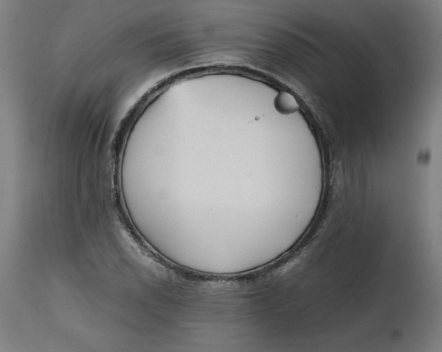 X0000112511118200909071302