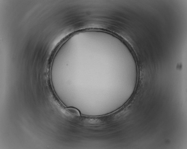 X0000112511119200909071302