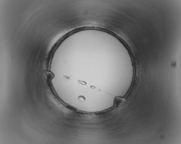 X0000112511120200909071302