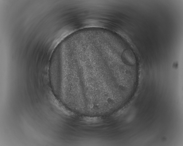 X0000112511121200909071302