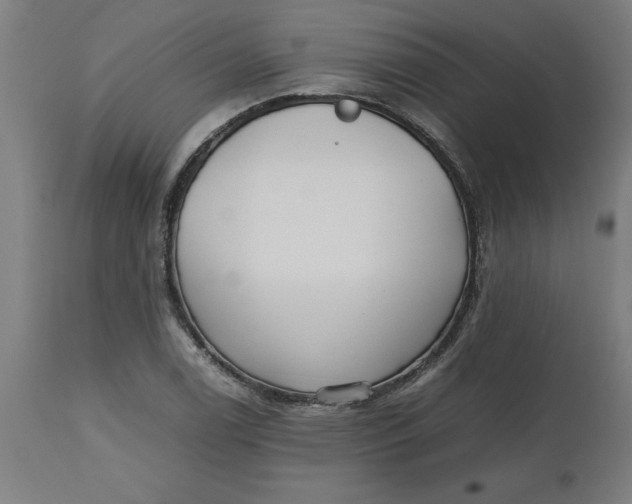 X0000112511122200909071302