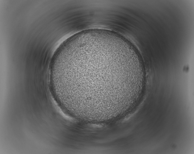 X0000112511125200909071302