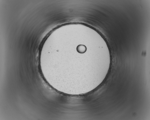 X0000112511126200909071302