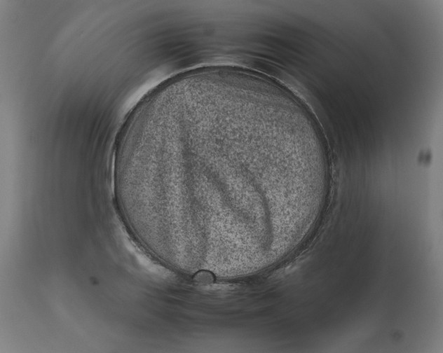 X0000112511127200909071302