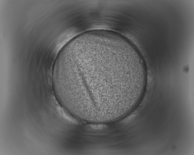 X0000112511129200909071302