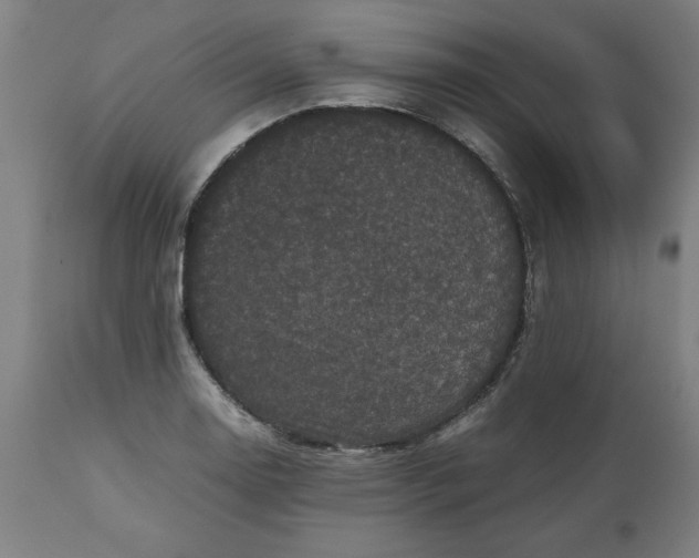 X0000112511130200909071302