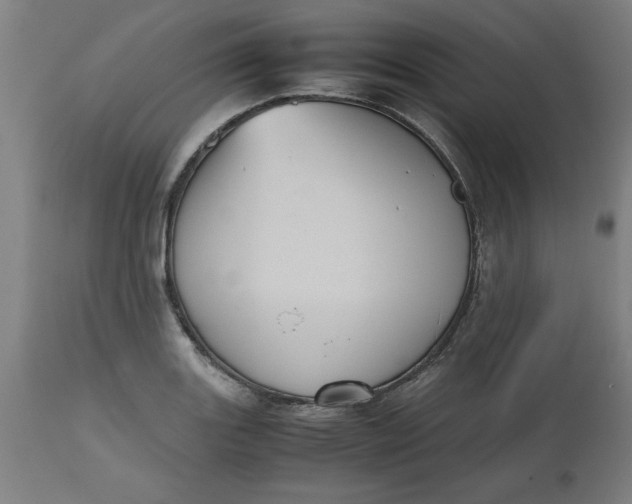 X0000112511131200909071302