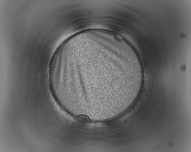 X0000112511133200909071302