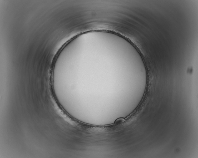 X0000112511134200909071302