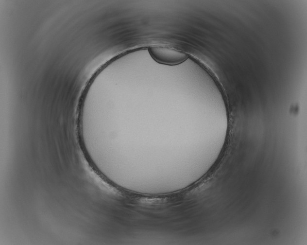 X0000112511135200909071302