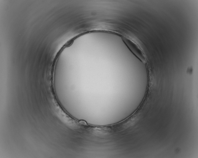 X0000112511138200909071302