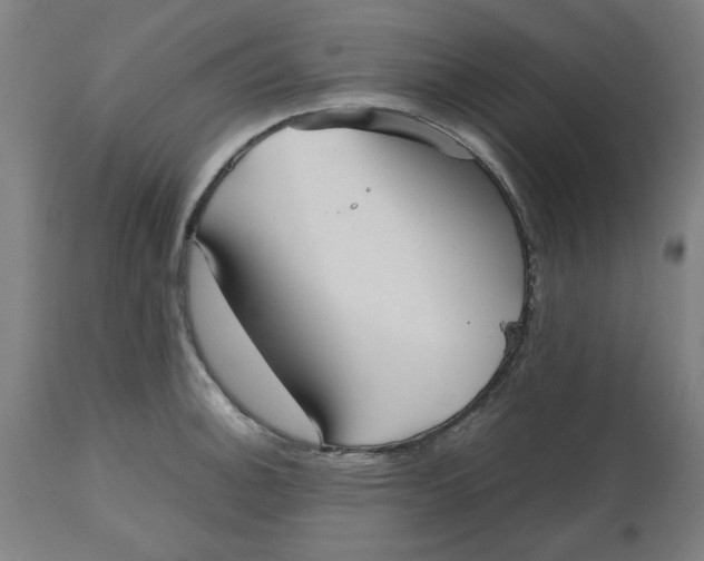 X0000112511140200909071302