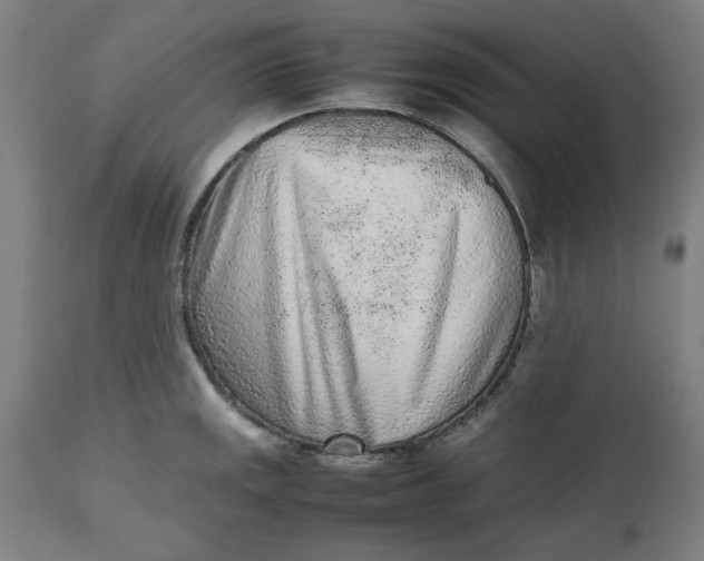 X0000112511141200909071302