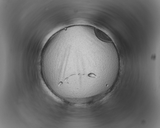 X0000112511142200909071302