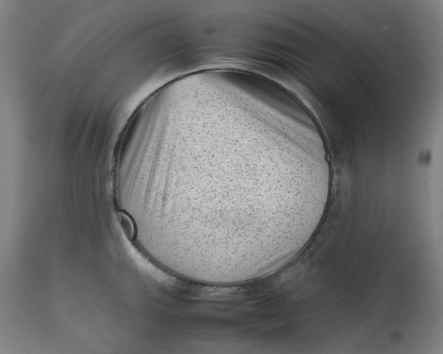 X0000112511143200909071302