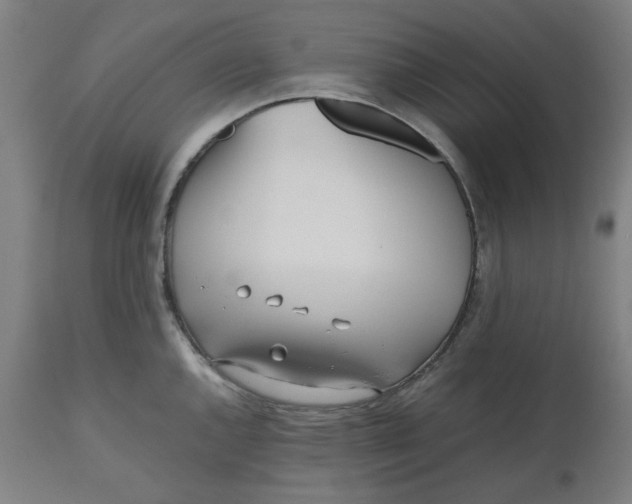 X0000112511144200909071302