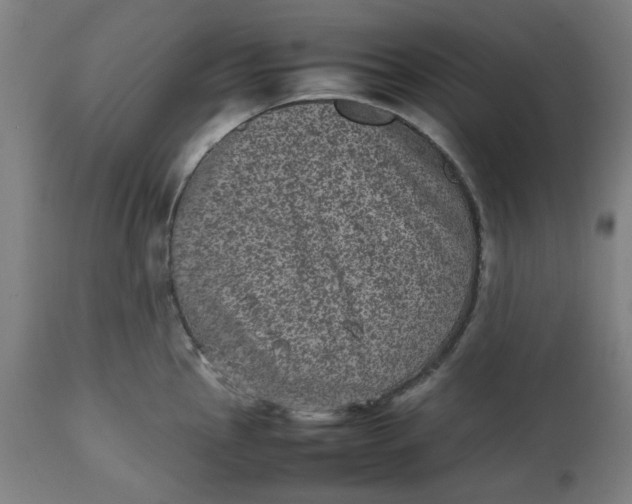 X0000112511145200909071302