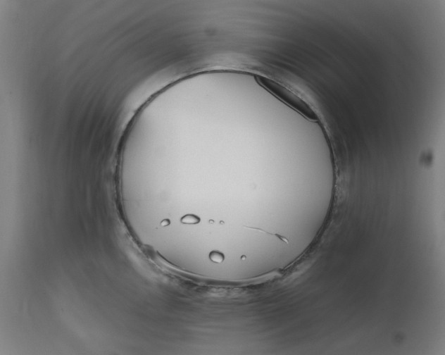 X0000112511146200909071302