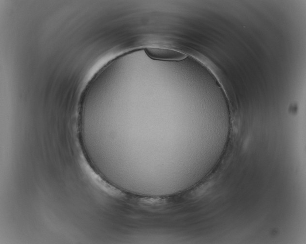 X0000112511147200909071302