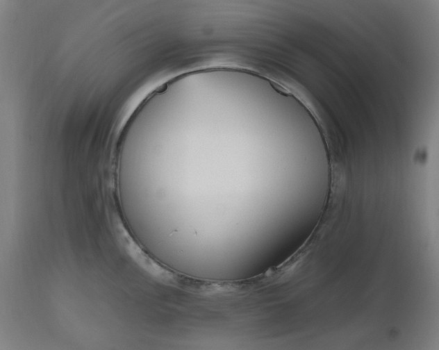 X0000112511148200909071302