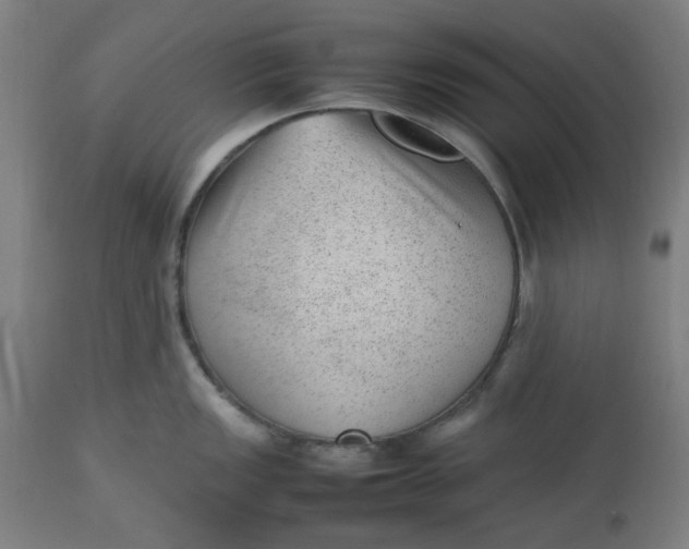 X0000112511149200909071302