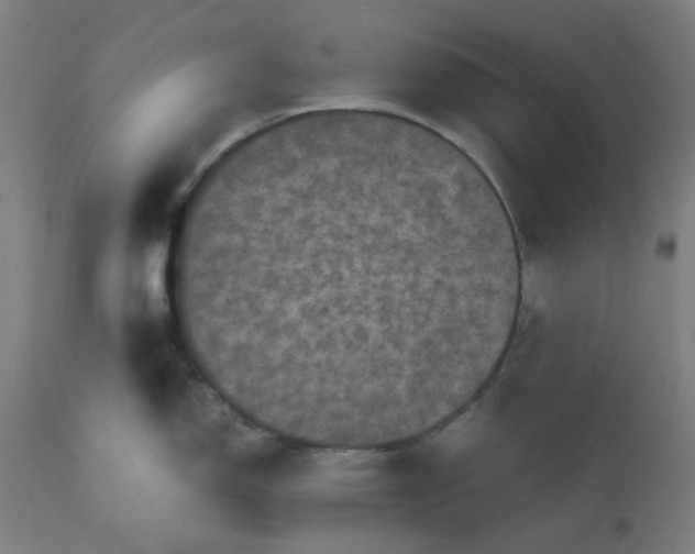 X0000112511150200909071302