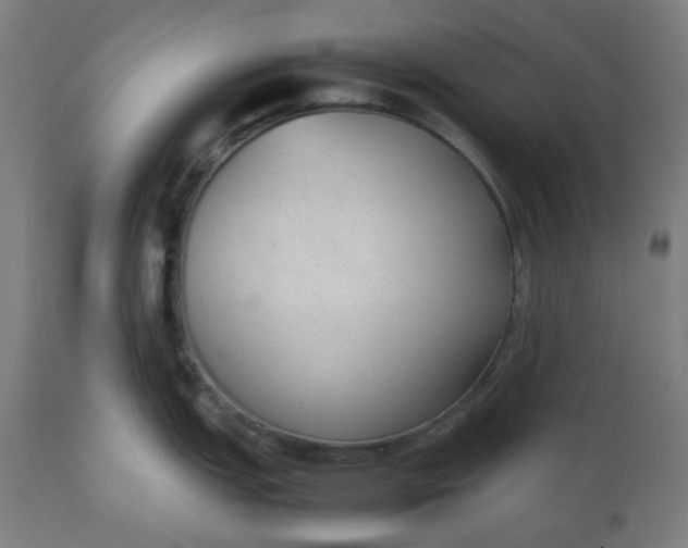 X0000112511151200909071302