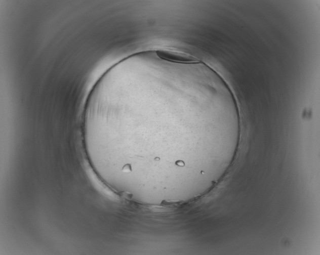 X0000112511152200909071302