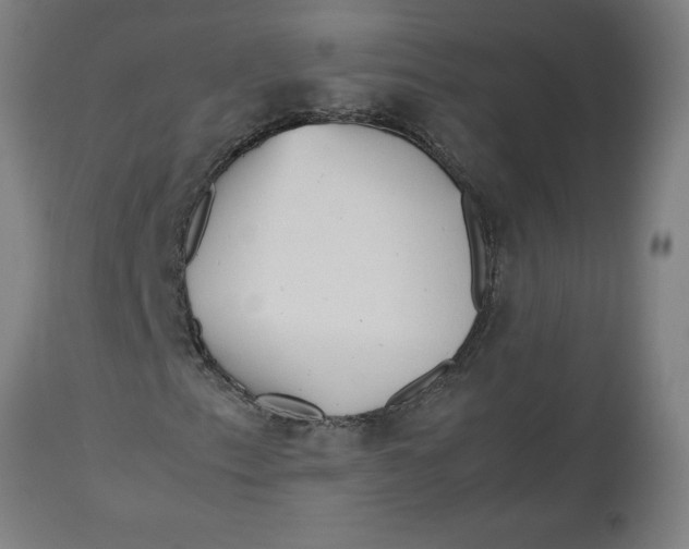 X0000112511153200909071301