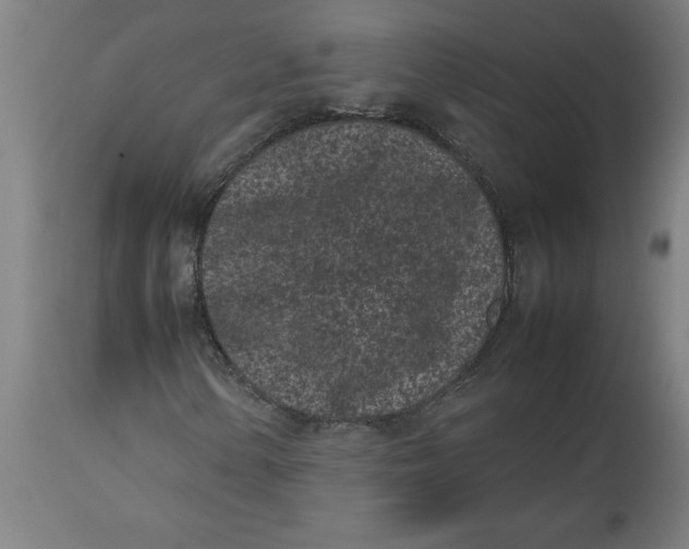 X0000112511154200909071301