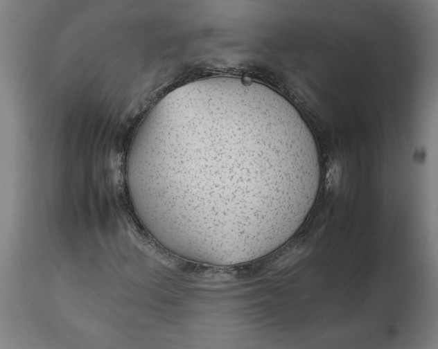 X0000112511156200909071301