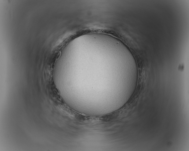 X0000112511157200909071301