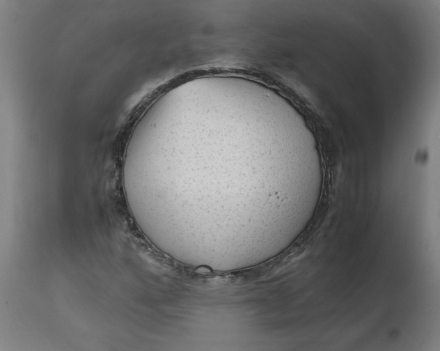 X0000112511160200909071301