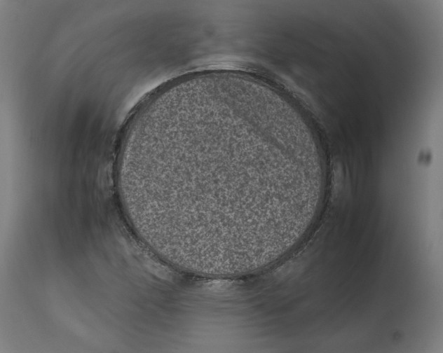 X0000112511166200909071301