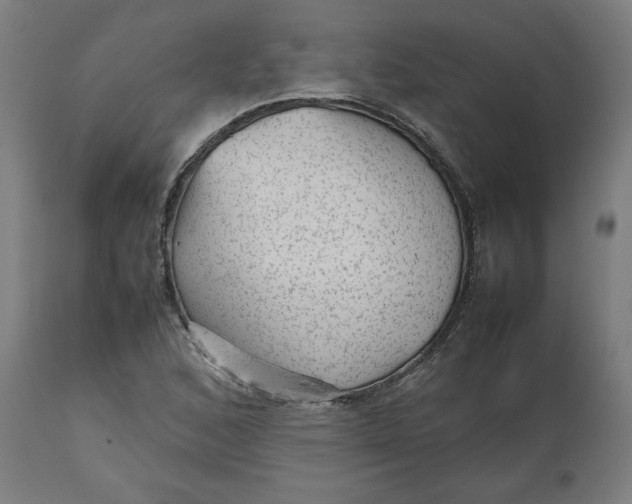 X0000112511168200909071301