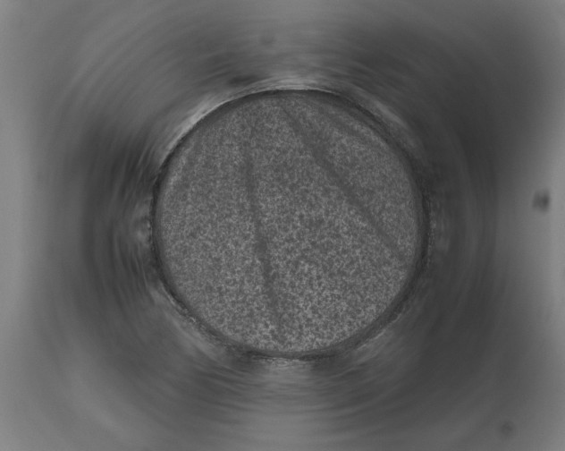 X0000112511170200909071301