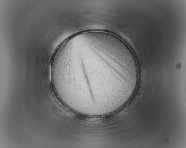 X0000112511171200909071301