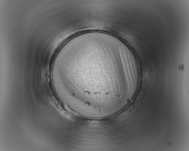 X0000112511172200909071301