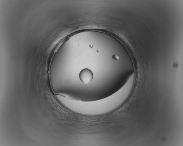 X0000112511173200909071301