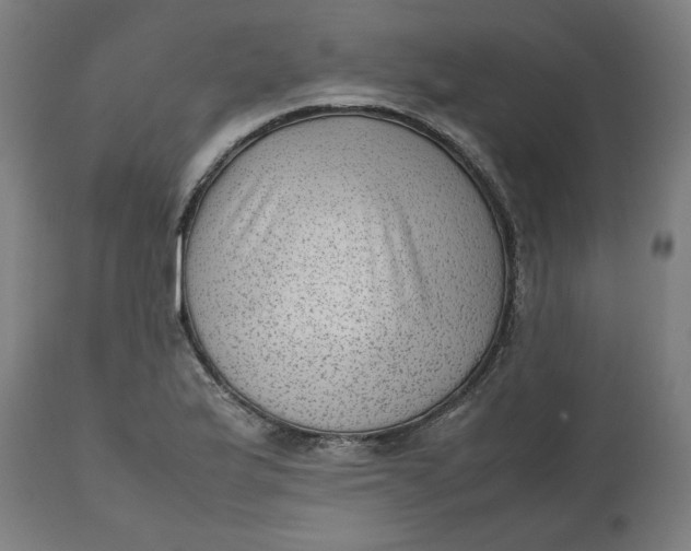 X0000112511175200909071301