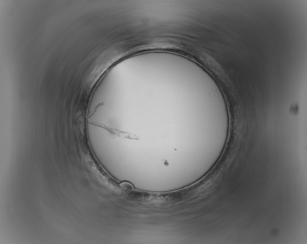 X0000112511177200909071301